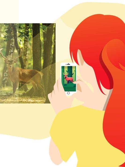 A caccia di fauna selvatica con cellulari e fototrappole 