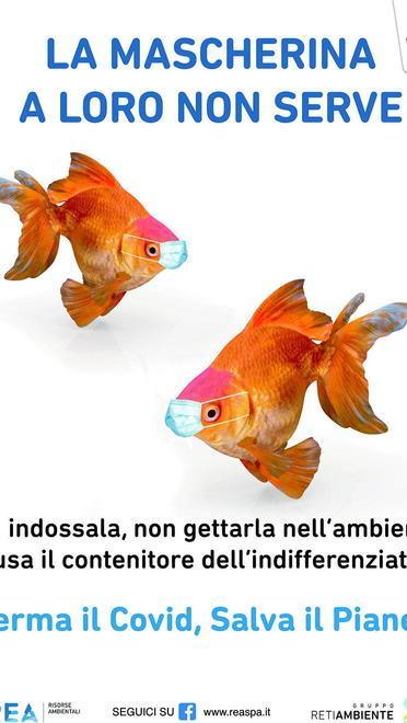 Pesci e tartarughe con la mascherina «Non gettatele a terra, inquinano» 