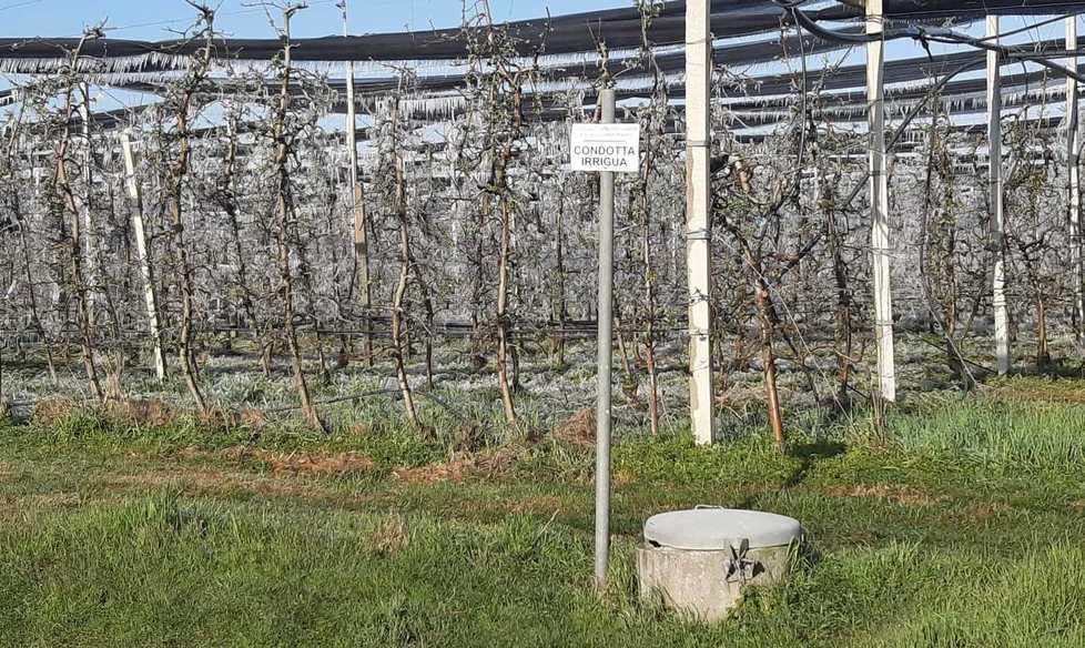Il Consorzio di bonifica “pompa” acqua di notte in 225 ettari di colture 