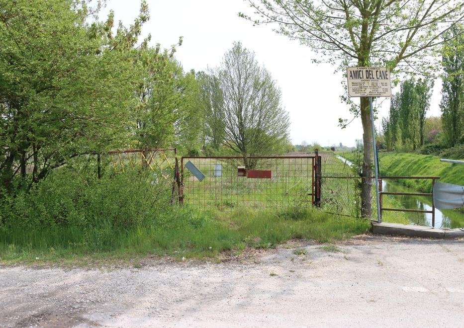 Cani da addestrare nell’ex discarica Ma lì sotto c’è una villa romana
