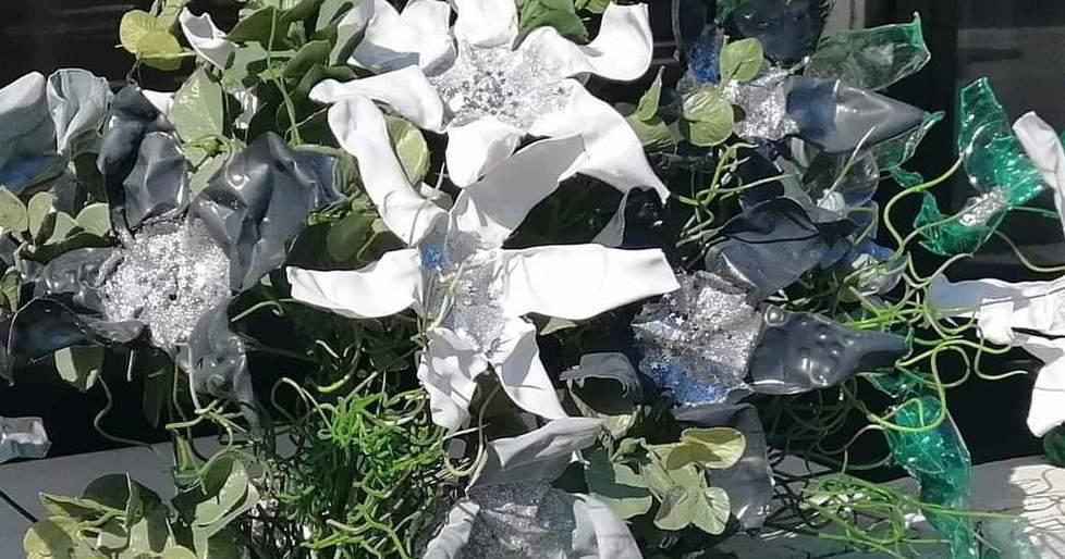 Rubati fiori davanti al locale