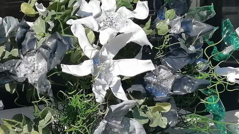 Rubati fiori davanti al locale