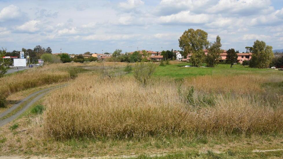 L’area urbana non edificata sulla quale verrà realizzata la lottizzazione dei Crespi