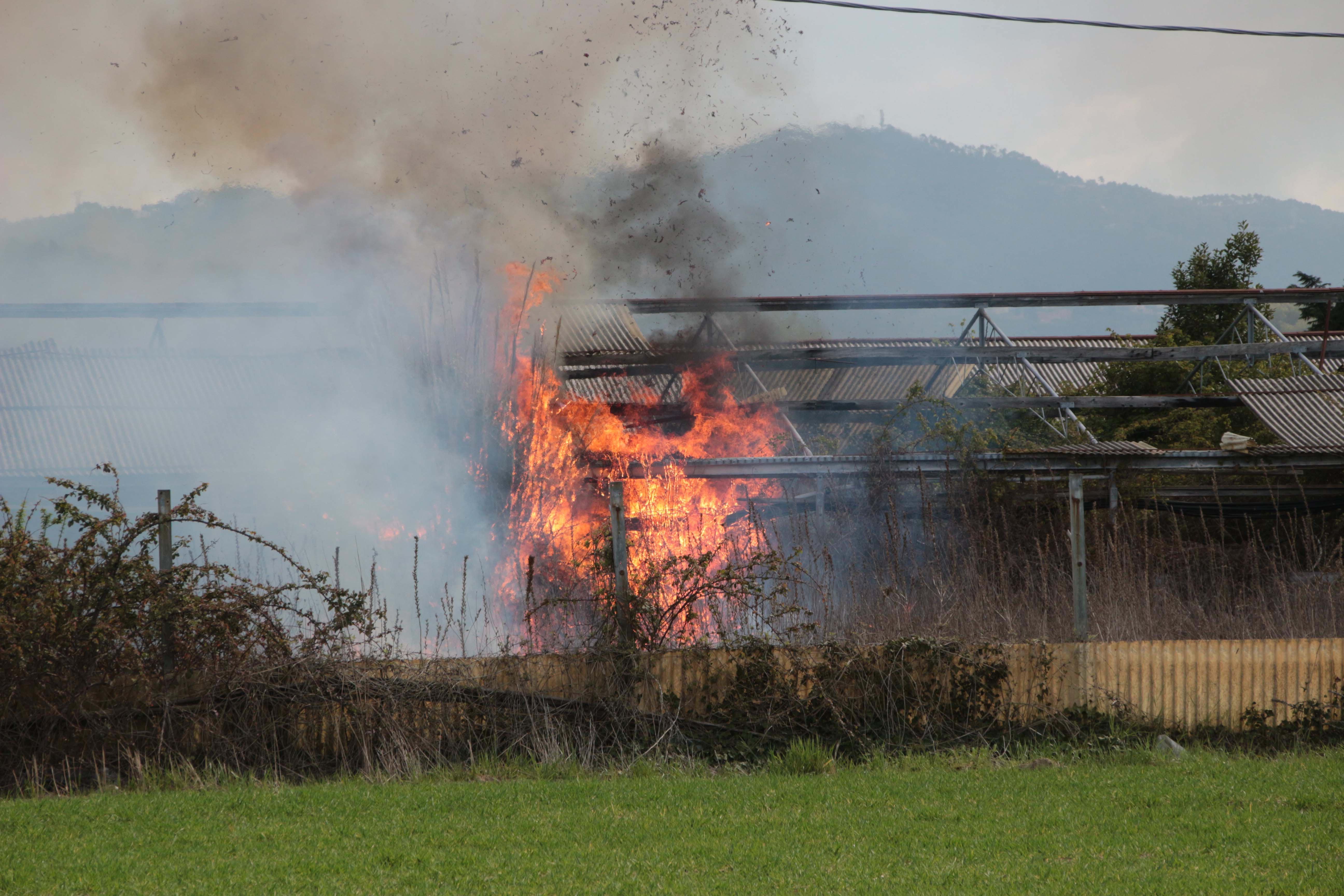 Le fiamme che hanno avvolto la serra in via Consorziale alla Migliarina (foto Ciurca/Paglianti)