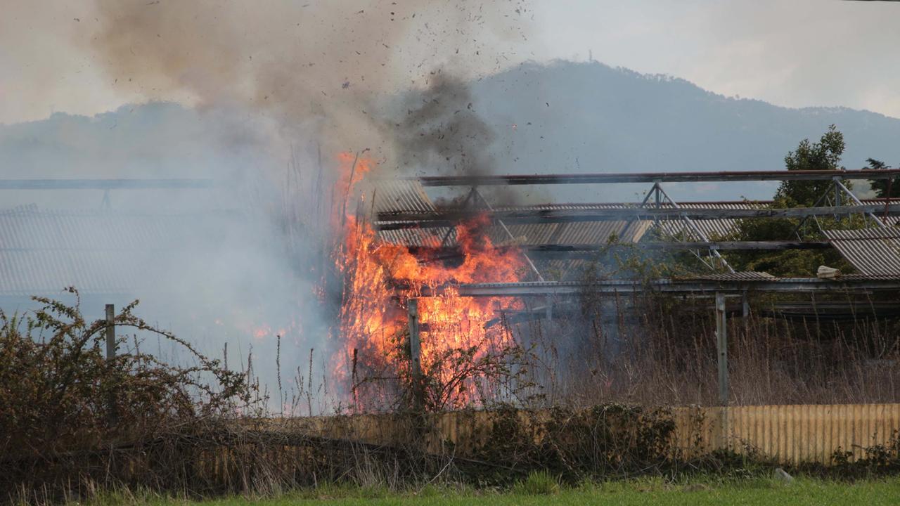 Le fiamme che hanno avvolto la serra in via Consorziale alla Migliarina (foto Ciurca/Paglianti)