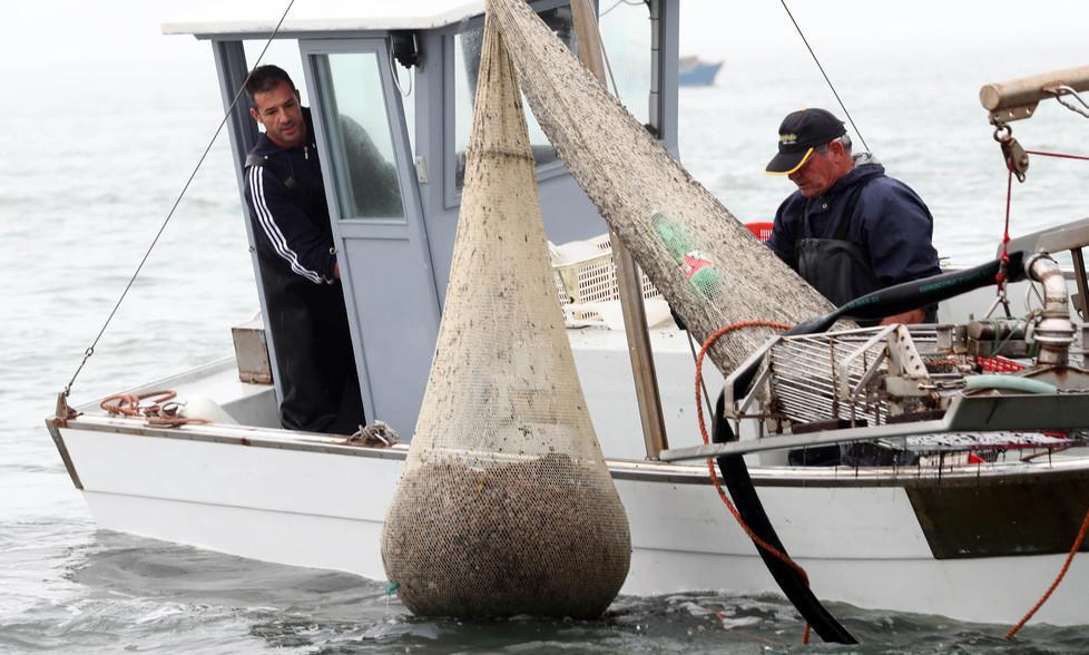 La Regione blinda la Sacca di Goro: «No a nuove concessioni» 