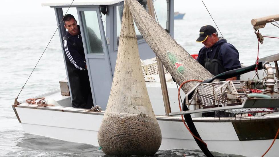 La Regione blinda la Sacca di Goro: «No a nuove concessioni»