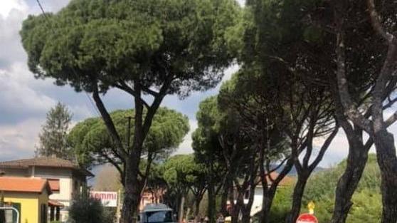 Via ai lavori di asfaltatura sulla Strada Regionale 435