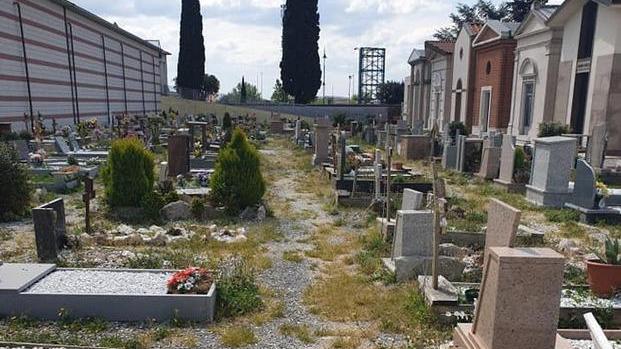 Erbacce e incuria al cimitero: interviene anche il sindaco