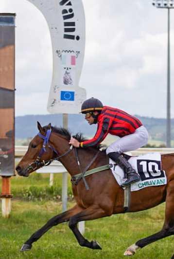 A Chilivani il jockey Nino Murru non teme i rivali e cala il poker