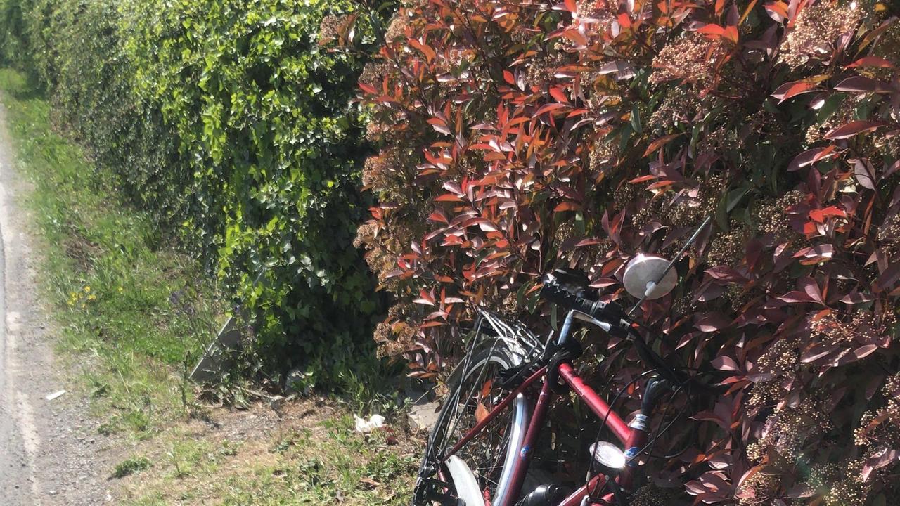 Castelvetro. Investito in bicicletta mentre va al lavoro Un 49enne resta ferito