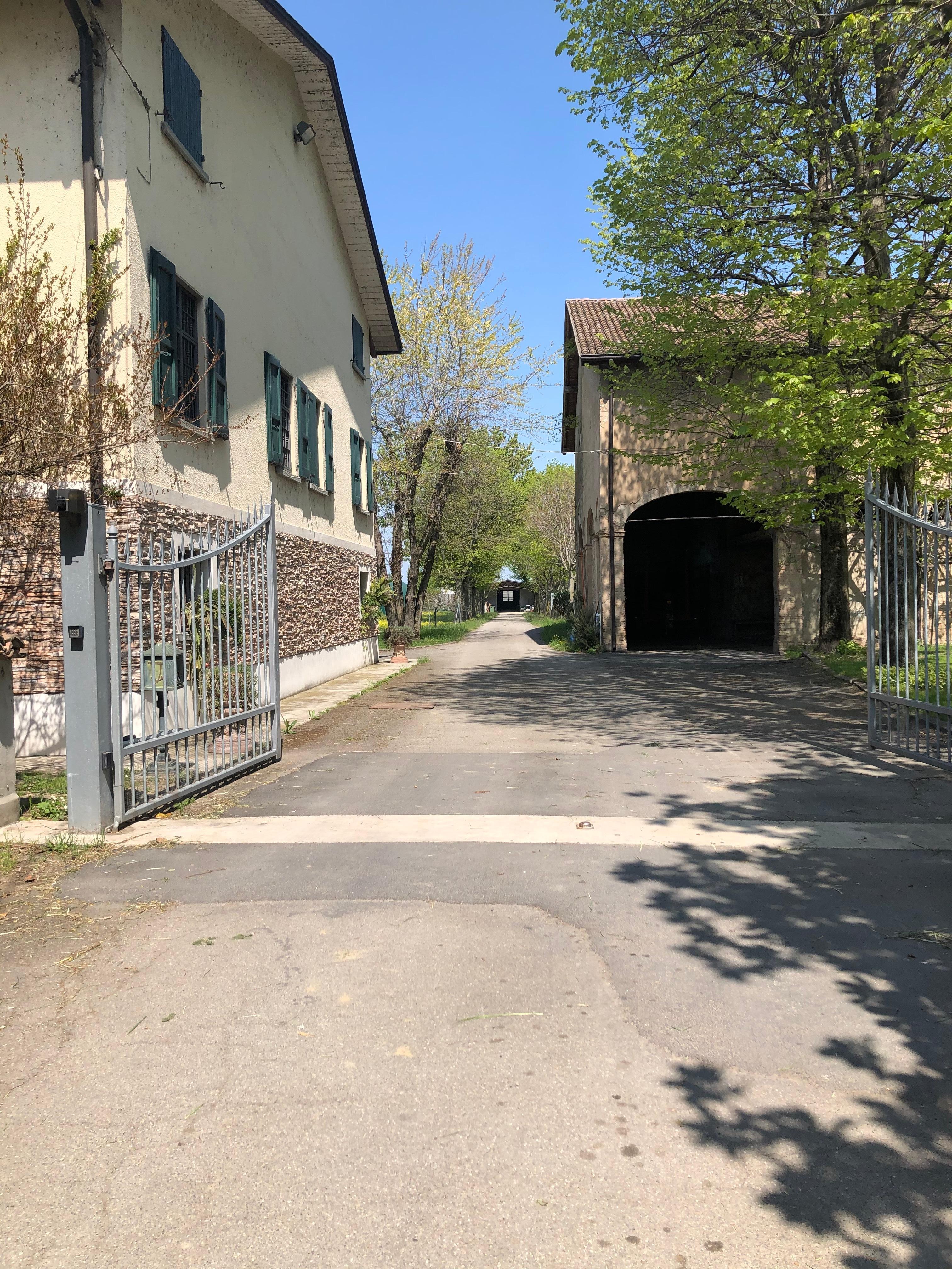 Carpi. Ingaggiato per sopprimere una mucca, gli parte un colpo e si ferisce all’addome 