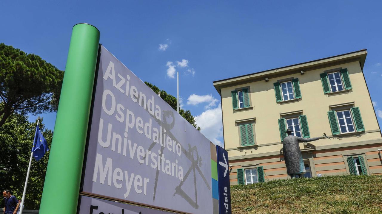 Neonato morso da un alano: i genitori denunciati per lesioni