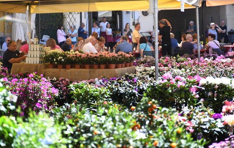 «Esonero dai contributi Tari e ripresa degli eventi fieristici»