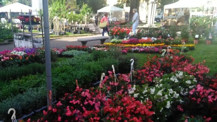 Pescia Antiqua si abbina con Fiori e piante di Toscana