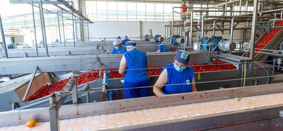 Conserve Italia, mezzo secolo sulle tavole Ok ai marchi storici di interesse nazionale 