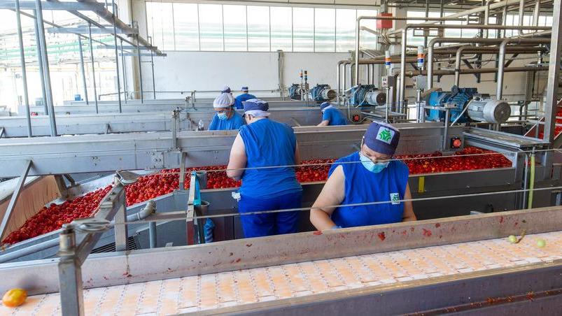 Conserve Italia, mezzo secolo sulle tavole Ok ai marchi storici di interesse nazionale