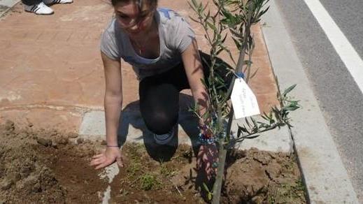 “Pianta un albero” sabato a Tortolì 