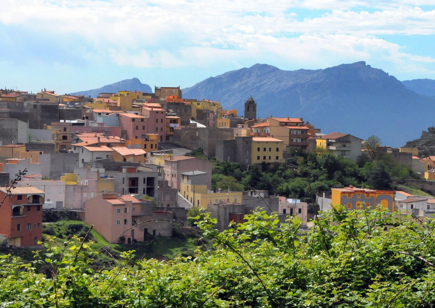 Danni dalle gelate, Orune dichiara lo stato di calamità