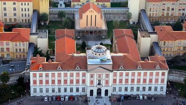 Primario di Chirurgia all'ospedale di Livorno: corsa a otto per il posto di Viti - I nomi