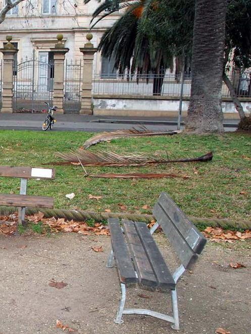 Il sindaco di Piombino promette: piazza Dante sarà riqualificata, poi scuole sicure 
