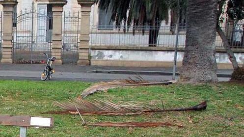 Il sindaco di Piombino promette: piazza Dante sarà riqualificata, poi scuole sicure