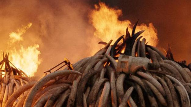 Una scena dal docufilm “Antropocene – L’epoca umana”