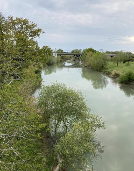 L’argine del fiume Cecina torna alle origini: sarà un sentiero immerso nel verde 