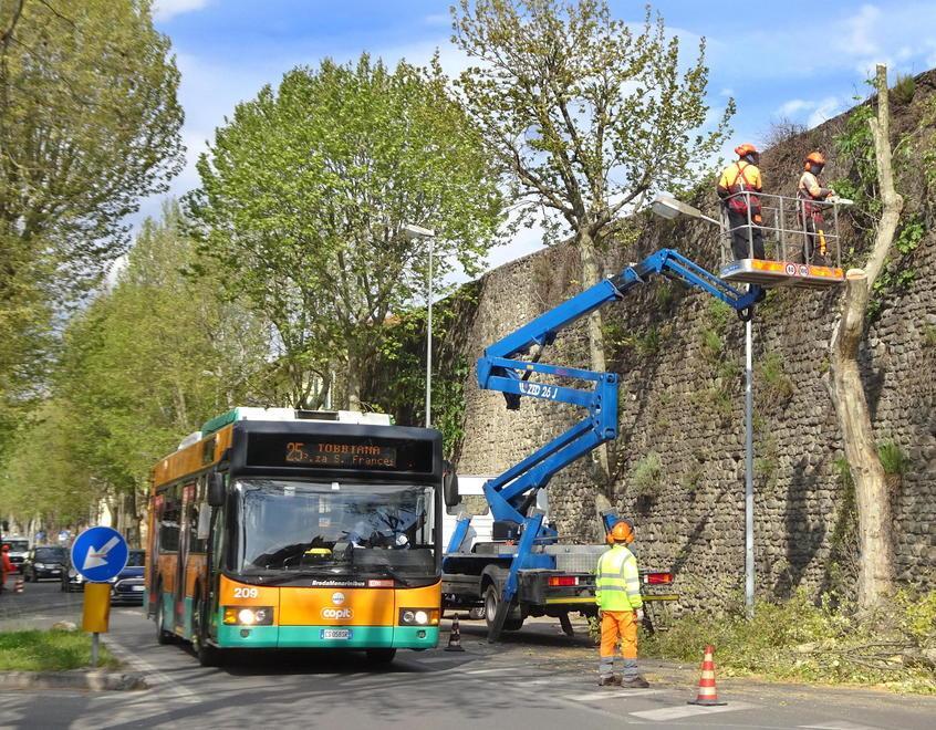 C’è un futuro verde per viale Matteotti nel nuovo parco delle Mura urbane di Pistoia