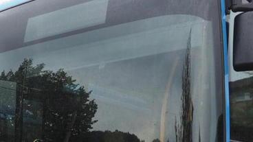 Ctt lancia un bando per conducenti di autobus