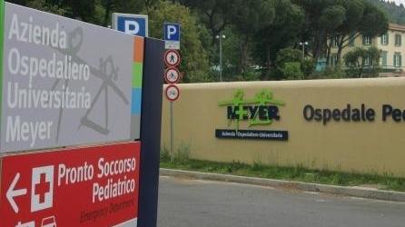 Fuori pericolo il bimbo di otto mesi azzannato dal cane