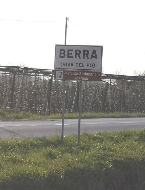 Concorso del Comune per creare i nuovi stemma e gonfalone