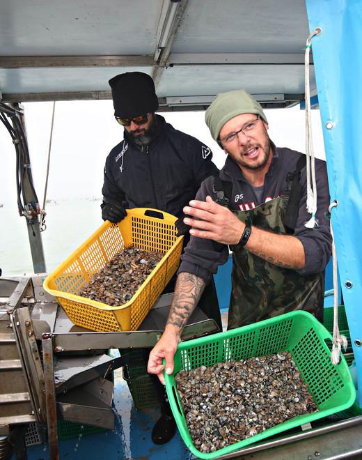 Le vongole in crisi La richiesta è calata del 50% in due anni 