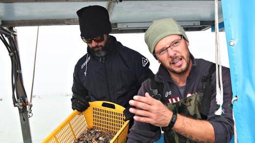 Le vongole in crisi La richiesta è calata del 50% in due anni