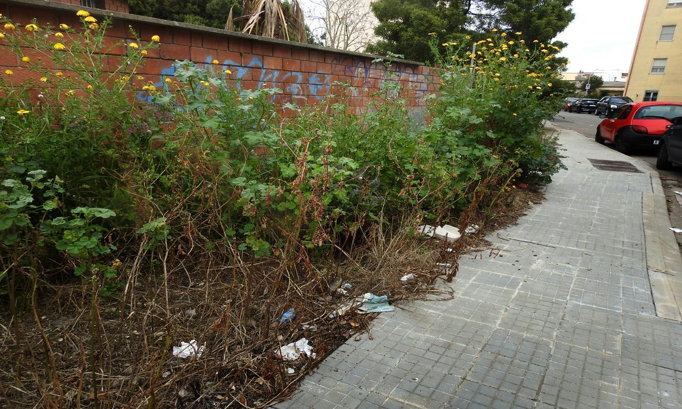 Il verde pubblico lascia a desiderare
