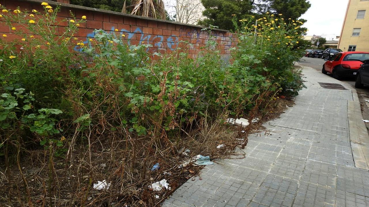 Il verde pubblico lascia a desiderare