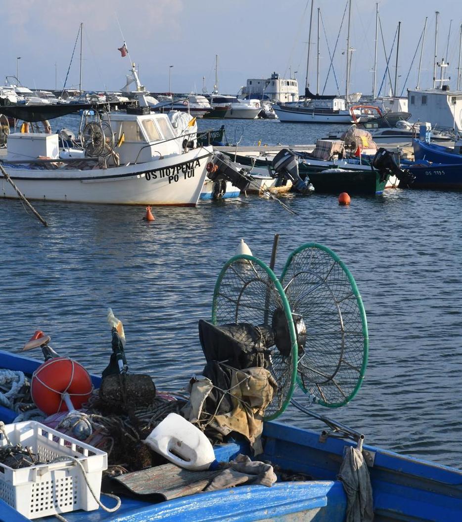 Progetto per il porticciolo «E adesso dateci i soldi» 