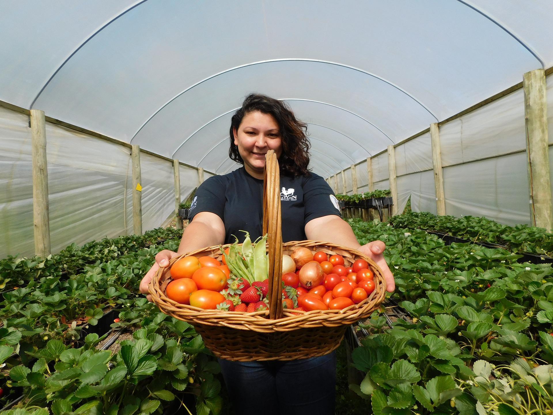 L'agricoltura italiana è la più green d'Europa
