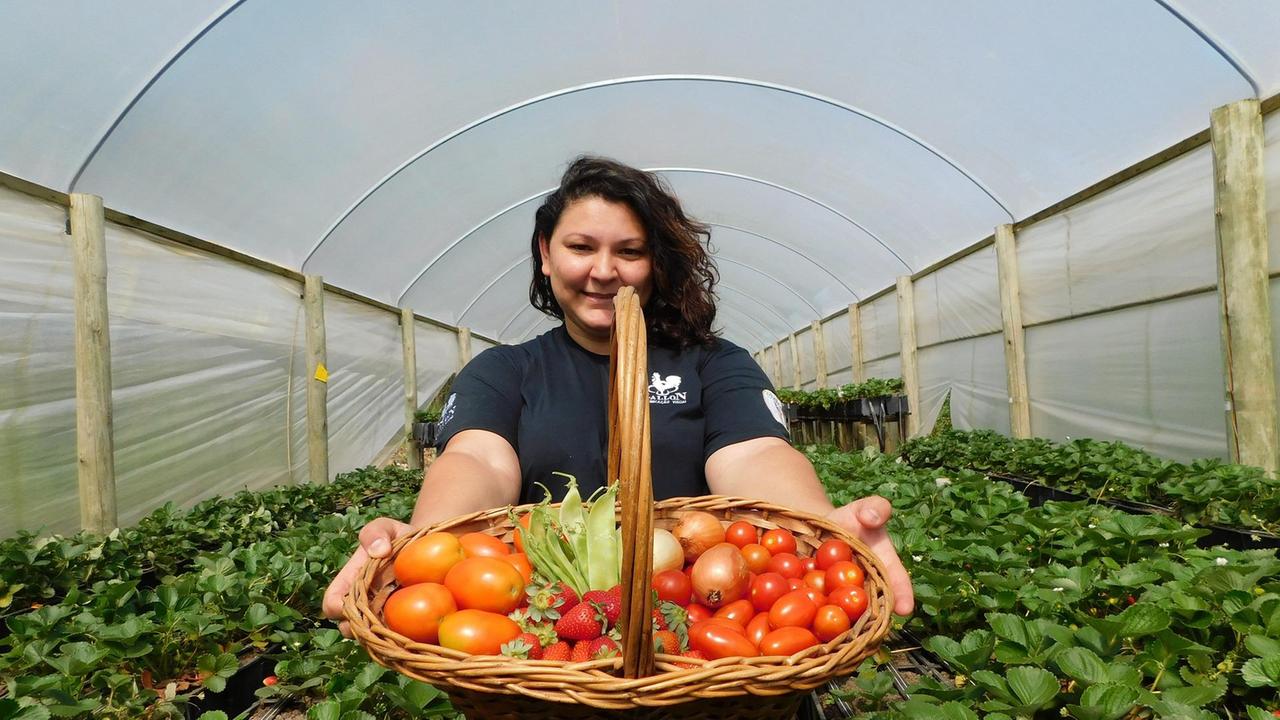 L'agricoltura italiana è la più green d'Europa
