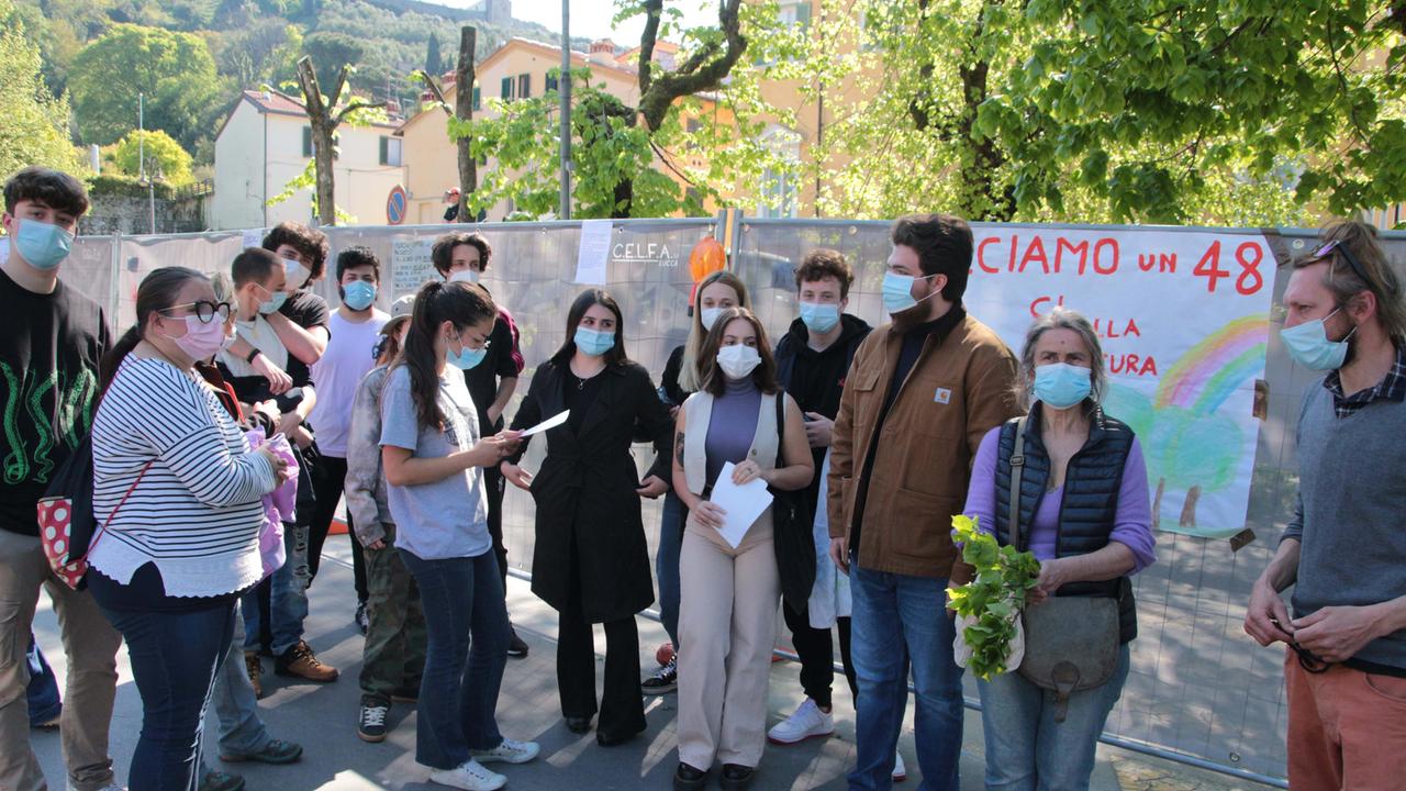Blitz nel cantiere dove si abbattono gli alberi - Video