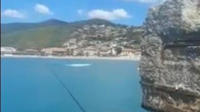 Balenottero all'ingresso del porto
