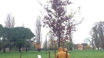 Il Consorzio pianta mille alberi per combattere l’aria inquinata