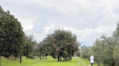 «Con oltre 400 nuovi alberi il Parco 8 Marzo cambia volto»