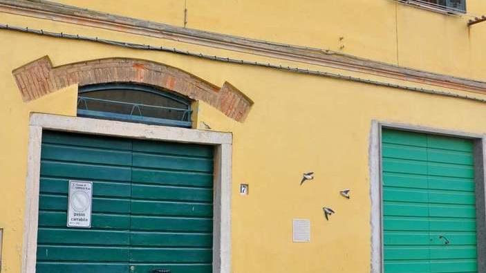 Segnalata in via Vittorio Veneto la casa ideale dei balestrucci