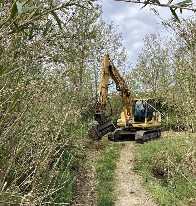 Percorso naturalistico sull’argine via ai lavori