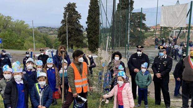 Lecci e piante di mirto per ricordare il rispetto per la natura