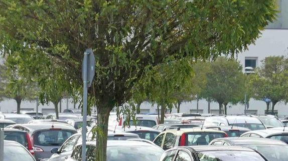 Pulizie delle caditoie nei parcheggi di Cona Chiusura dei posti