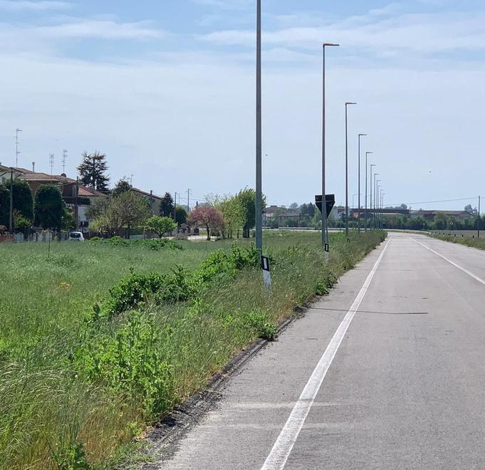 Per la ciclabile di via Malaguti il bando di gara inizia la corsa 