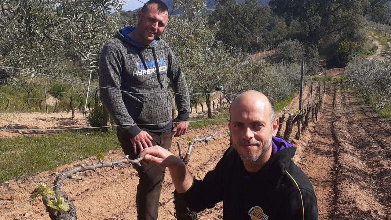 Vigna de’ Luceri giovane cantina “etrusca” nel cuore dell’Ogliastra