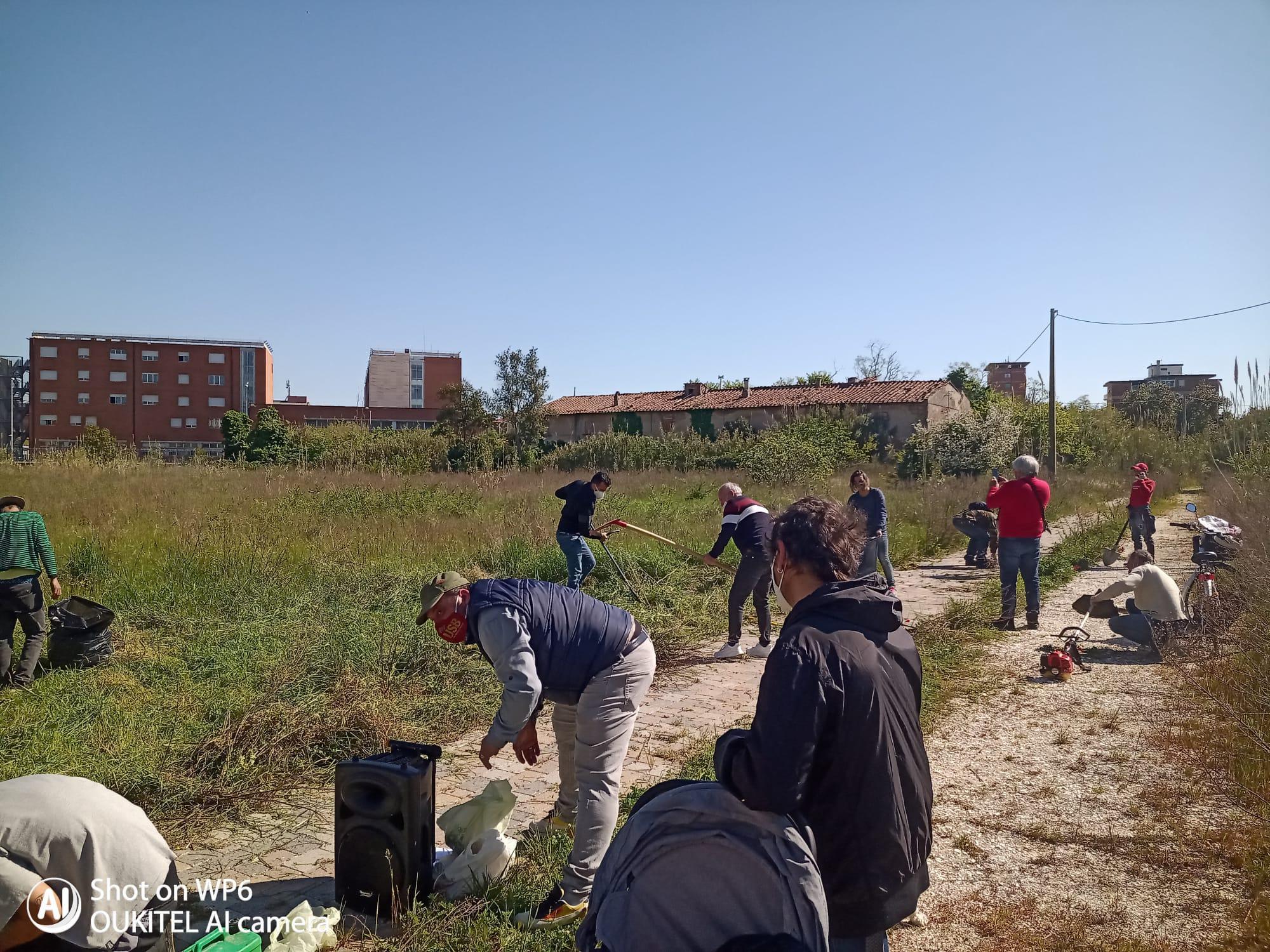Gli attivisti al lavoro